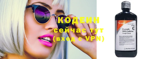 прущие грибы Баксан