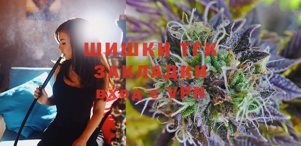 прущие грибы Баксан