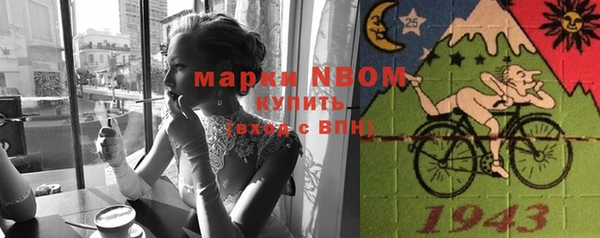прущие грибы Баксан