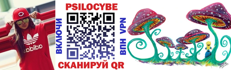 hydra как зайти  Константиновск  Псилоцибиновые грибы Psilocybe 
